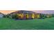 View of a home’s backyard with green lawn, mature plantings and exterior lighting at 20828 Cattail Blvd, Venice, FL 34292