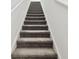 Carpeted stairway with white walls and matching trim at 2513 Sunray Venus Way, Ruskin, FL 33570