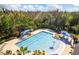 Community pool with sun loungers and shaded seating areas at 2839 Cordoba Ranch Blvd, Lutz, FL 33559