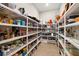 Organized walk-in pantry with ample shelving for food storage and small appliances at 2839 Cordoba Ranch Blvd, Lutz, FL 33559