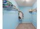 Organized walk-in closet with metal shelving, carpet and blue accent wall ready for storage at 2875 Lomond Dr, Palm Harbor, FL 34684