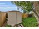 Backyard shed surrounded by green lawn and a wooden fence at 4143 Gray Squirrel Ln, New Port Richey, FL 34653