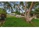 A spacious backyard featuring lush greenery and a mature shade tree perfect for outdoor relaxation and enjoyment at 4143 Gray Squirrel Ln, New Port Richey, FL 34653