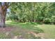 Expansive backyard with lush green grass at 4634 Mapletree Loop, Wesley Chapel, FL 33544