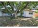 Backyard featuring mature tree offering a shaded retreat, enhancing the property's outdoor appeal at 7814 Judith Cres, Port Richey, FL 34668