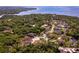 Aerial view of homes surrounded by a verdant landscape, showcasing a neighborhood with water features and mature trees at 7849 Marsh Pointe Dr, Tampa, FL 33635