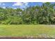 Lush green backyard with dense trees and landscaping, offering privacy at 9936 62Nd N St, Pinellas Park, FL 33782