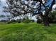 Lush green lawn with mature trees, with a glimpse of a white home in the distance at 1106 Trellis Ave, Spring Hill, FL 34606