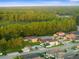 Beautiful aerial view of homes in a community with green landscaping and trees at 11597 Weaver Hollow Rd, New Port Richey, FL 34654