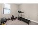 Carpeted exercise room featuring a treadmill, stationary bike, weights, and bright natural light from a window at 11597 Weaver Hollow Rd, New Port Richey, FL 34654