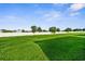 Expansive backyard with lush green lawn, bordered by a white privacy fence at 11940 Stone Pine St, Riverview, FL 33569