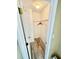 Bright walk-in closet with wooden floors and metal shelving for optimal storage solutions at 12249 Country White Cir, Tampa, FL 33635