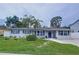 Charming single-story home featuring a well-manicured lawn and inviting curb appeal with a beautiful palm tree at 1445 Coburn Dr, Tarpon Springs, FL 34689