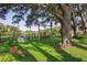 Beautiful backyard featuring a mature tree, swing set, shed, and a picturesque view of the lake at 15316 Winding Creek Dr, Tampa, FL 33613