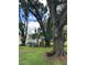 Beautiful backyard with mature trees and privacy fence at 15316 Winding Creek Dr, Tampa, FL 33613