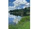 Picturesque lake view showcasing water reflections, vibrant greenery, and clear blue sky, capturing natural beauty at 15316 Winding Creek Dr, Tampa, FL 33613