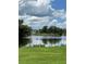 Scenic pond view with lush greenery and tranquil water reflections, ideal for a peaceful setting at 15316 Winding Creek Dr, Tampa, FL 33613