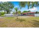 Expansive front yard with a charming single-story home, lush lawn, mature trees, and a circular driveway at 1710 Townsend St, Clearwater, FL 33755