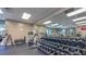 A well-equipped gym with a variety of weight machines, free weights, and a mirrored wall at 18419 Merseyside Loop, Land O Lakes, FL 34638