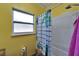 Bathroom shower/tub with a shower curtain, window, and yellow painted walls at 2334 14Th N Ave, St Petersburg, FL 33713