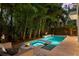Private backyard pool and spa surrounded by lush greenery offers a serene escape at 2803 W Aquilla St, Tampa, FL 33629
