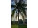 Close up view of palm tree with sky in the background and neighborhood homes in the distance at 3243 Azalea Dr, Hernando Beach, FL 34607