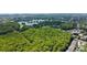 Overhead view showcasing the lush greenery and serene lake, complemented by nearby residential homes at 3350 Fox Hunt Dr, Palm Harbor, FL 34683
