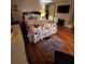 Well-lit bedroom with wood floors, floral bedding, and cozy decor at 35020 Colony Hills Dr, Zephyrhills, FL 33541