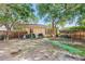 Spacious backyard with a covered patio, mature trees, and ample room for outdoor activities at 3622 W Mullen Ave, Tampa, FL 33609