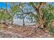Scenic waterfront view with lush trees and serene water, creating a tranquil and picturesque natural setting at 6220 Bayshore Blvd, Tampa, FL 33611
