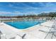 A beautiful community pool with lounge chairs at 7000 Lafayette N, Pinellas Park, FL 33781