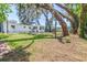 Expansive backyard featuring mature trees offering ample shade and natural beauty for outdoor enjoyment at 7441 Cypress Dr, New Port Richey, FL 34653