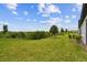Expansive backyard featuring lush green grass and mature landscaping at 10282 Echo Dock Loop, San Antonio, FL 33576