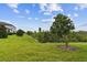Spacious backyard featuring a lush lawn, mature trees, and a serene setting at 10282 Echo Dock Loop, San Antonio, FL 33576