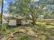 A spacious backyard with mature trees, a chain link fence and a storage building at 111 E Early St, Brooksville, FL 34601