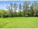 Expansive backyard with green grass and view of tall trees at 12603 Corral Rd, Tampa, FL 33626