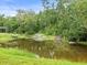 Backyard pond with fountain, lily pads, and lush greenery at 12603 Corral Rd, Tampa, FL 33626