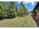 Expansive backyard features lush lawn, mature trees, and manicured border plants at 13102 Done Groven Dr, Dover, FL 33527
