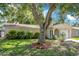 Charming single-story home featuring a well-maintained lawn and a mature tree in the front yard at 1600 Amberlea N Dr, Dunedin, FL 34698