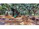 Community playground with modern equipment set amongst mature trees at 1600 Amberlea N Dr, Dunedin, FL 34698