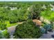 Expansive aerial view showcasing a home surrounded by lush greenery and mature trees in a residential area at 16138 Manorwood Cir, Tampa, FL 33624