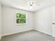 Bright, carpeted bedroom with a large window letting in natural light and a view of the outdoors at 16138 Manorwood Cir, Tampa, FL 33624