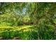 Serene view of a pond or wetland area, surrounded by lush vegetation and natural greenery, offering a private oasis at 16138 Manorwood Cir, Tampa, FL 33624