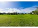 Scenic backyard with a tranquil pond surrounded by lush greenery and neighborhood homes at 19309 Seacove Dr, Lutz, FL 33558