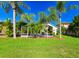 Spacious backyard with lush green grass and mature palm trees, creating a beautiful and inviting outdoor space at 19309 Seacove Dr, Lutz, FL 33558