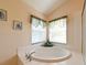 Bathroom featuring a large soaking tub surrounded by white tile, two windows and some decor at 19309 Seacove Dr, Lutz, FL 33558