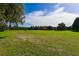 Picturesque golf course view with lush green grass and mature trees on a sunny day at 19309 Seacove Dr, Lutz, FL 33558
