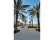 Lush palm trees line the walkway in a serene park setting, Clearwater Florida at 1951 Edgewater Dr, Clearwater, FL 33755