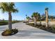 Sidewalk lined with palm trees and landscaping, offering a serene and scenic pathway through the community at 1951 Edgewater Dr, Clearwater, FL 33755