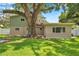 Home exterior featuring a lush green backyard with mature shade tree and manicured lawn at 205 W Wheeler Rd, Seffner, FL 33584